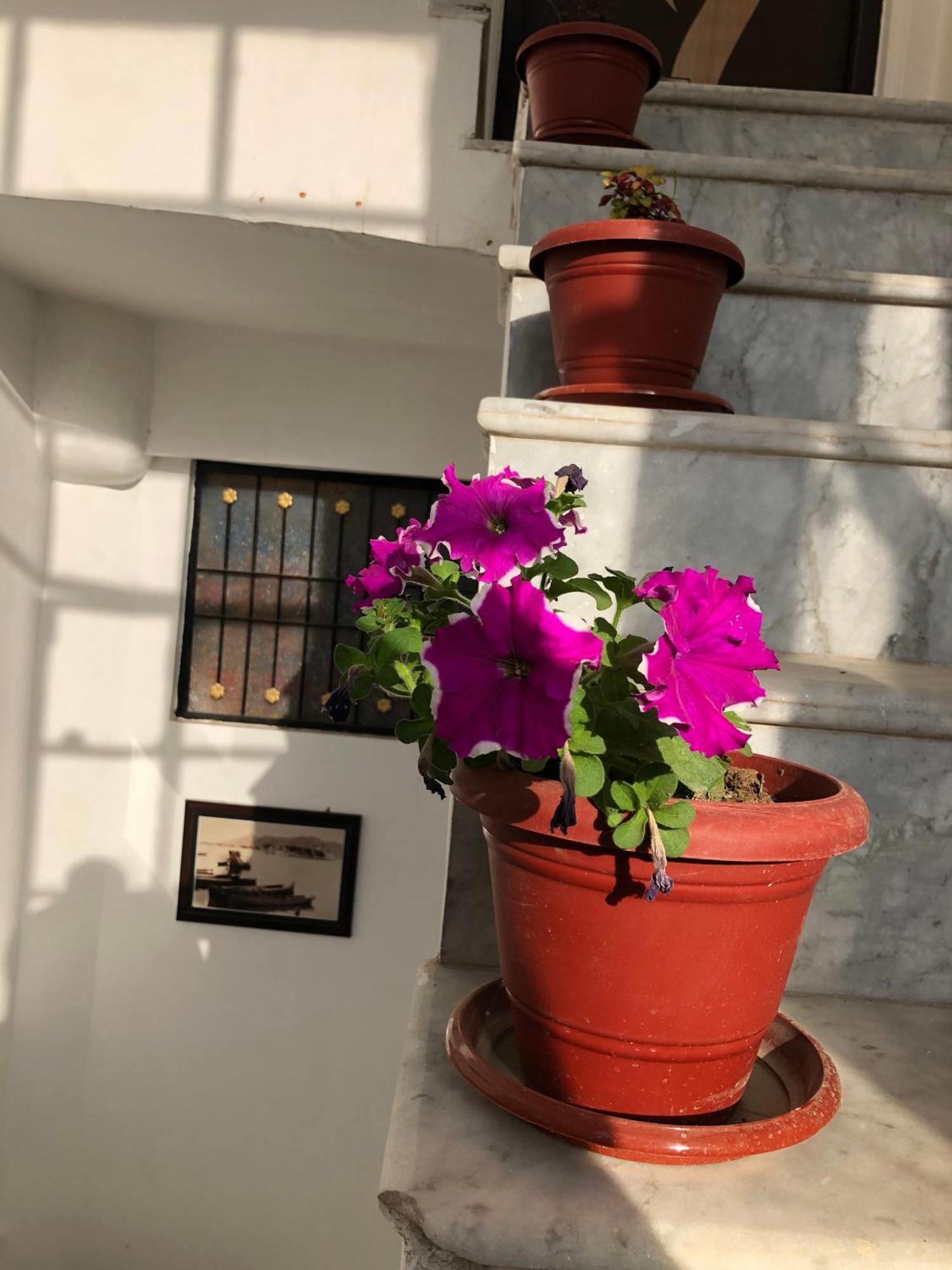 Hotel Nirvana Lakeside Udaipur Buitenkant foto